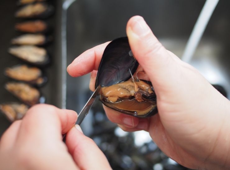 Segreti per pulire le cozze