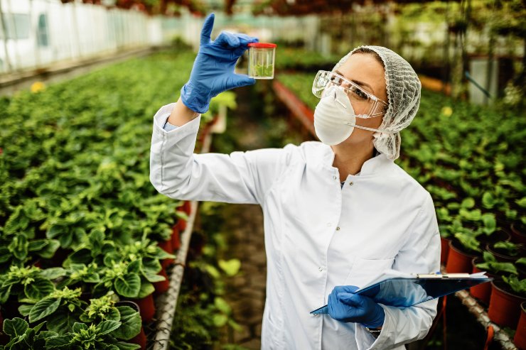 Uno specialista controlla i pesticidi in un campo di verdure