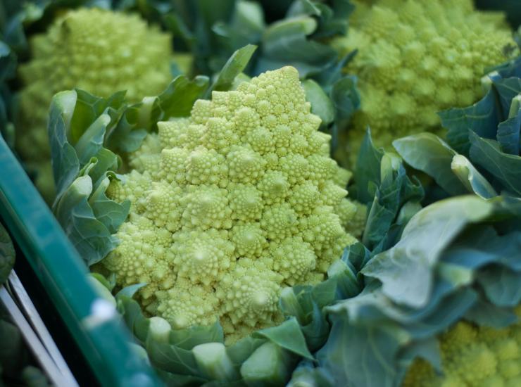 Broccoli (pexels.com) - romagnaatavola.it