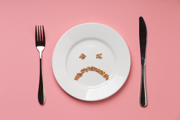 Concetto di cibo dannoso 