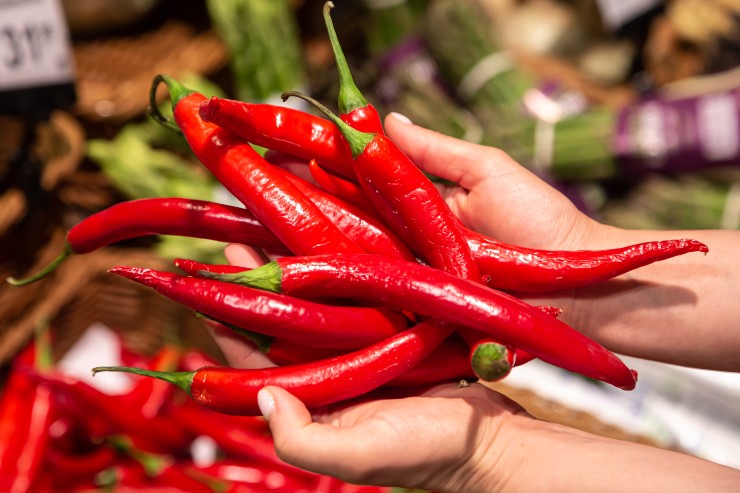 Una persona tiene in mano dei peperoncini