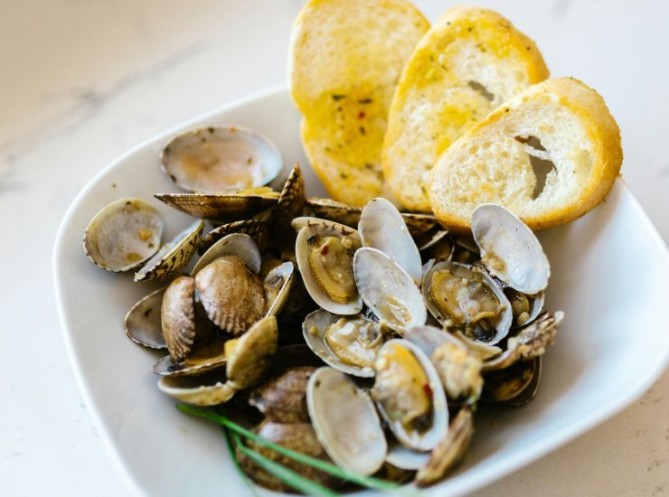 Pulizia delle vongole (pexels.com) - romagnaatavola.it