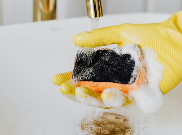 Spugna da cucina (pexels.com) - romagnaatavola.it
