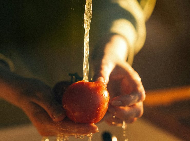 Acqua potabile (pexels.com) - romagnaatavola.it
