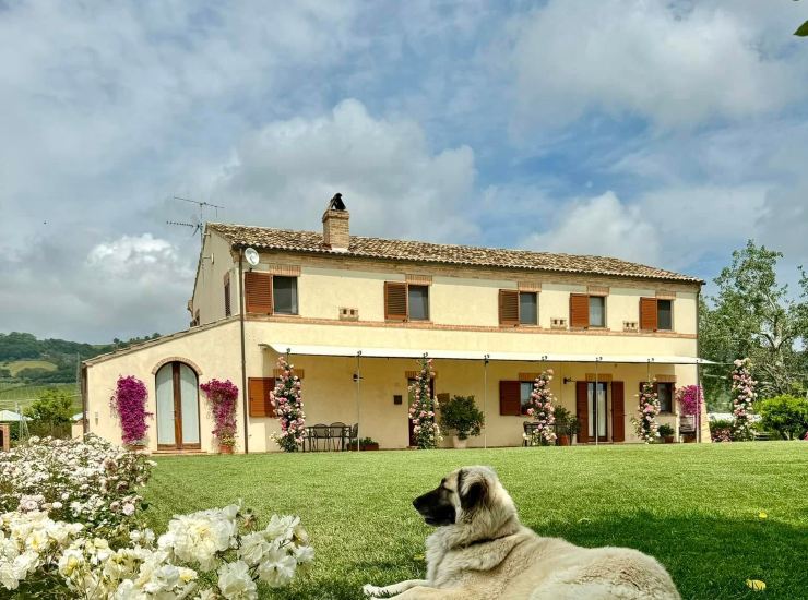 La casa di Benedetta Rossi 