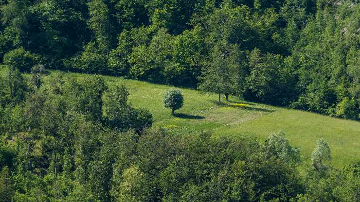 Territorio romagnolo