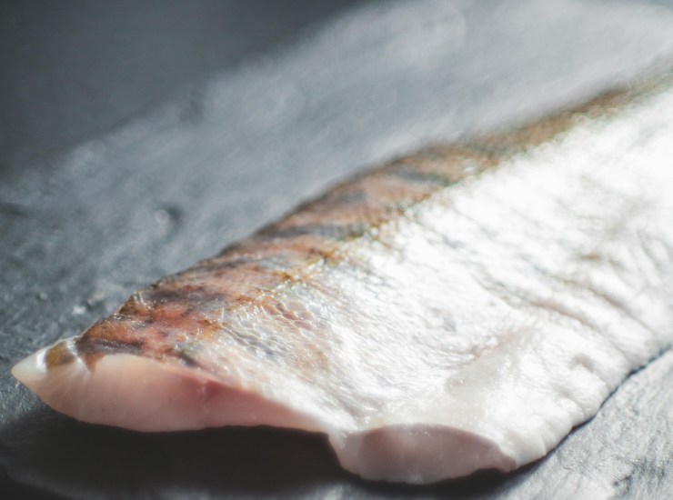 Filetto di orata (pexels.com) - romagnaatavola.it
