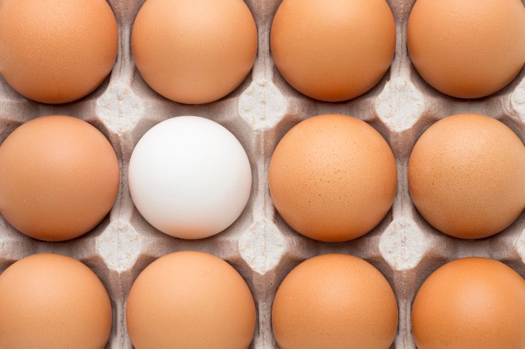 Uova in un cartone
