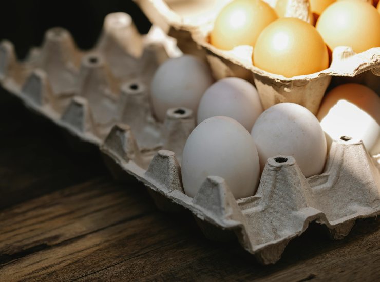 Uova richiamate (pexels.com) - romagnaatavola.it