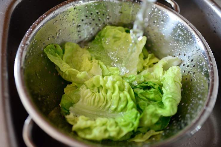 insalata sotto getto d'acqua