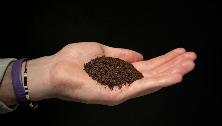 mano con fondi di caffè nel palmo