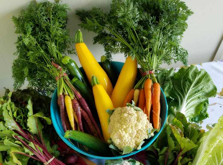 Verdura (pexels.com) - romagnaatavola.it