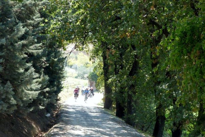 Gita in E-Bike sulle colline romagnole