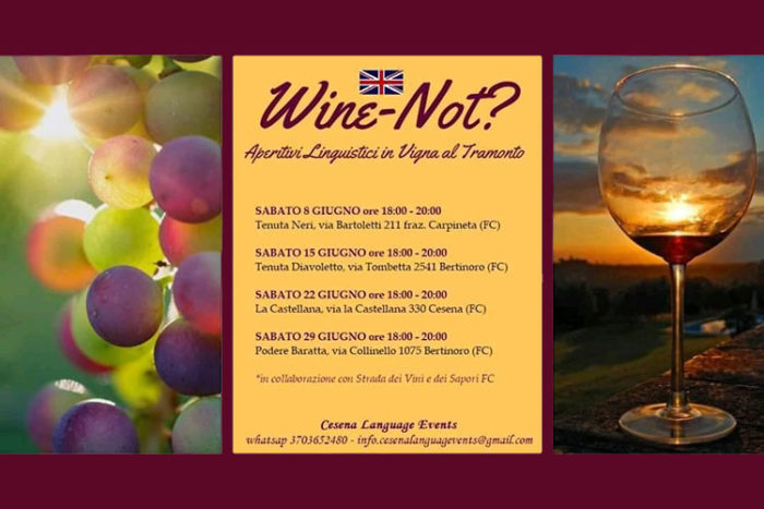 Wine Not nelle colline del Cesenate