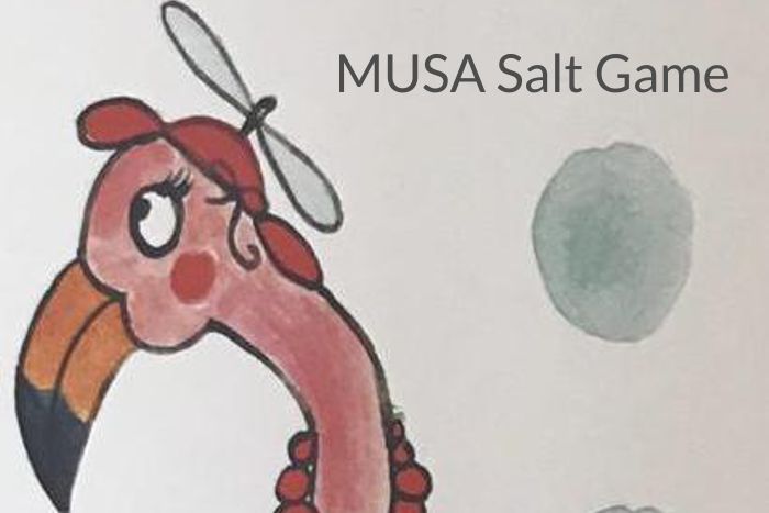 Musa Salt Game - Museo del Sale Cervia
