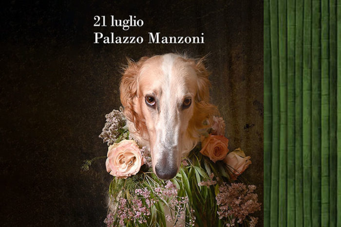Serata con mostra fotografica Giardino del Duca a Palazzo Manzoni