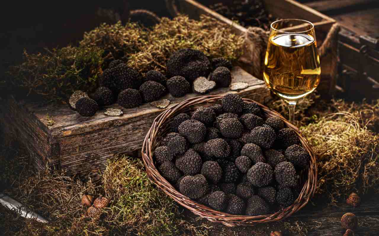 SAGRA DEL TARTUFO DI DOVADOLA 2025: queste le domeniche di ottobre in cui mangiare le famose tagliatelle al tartufo