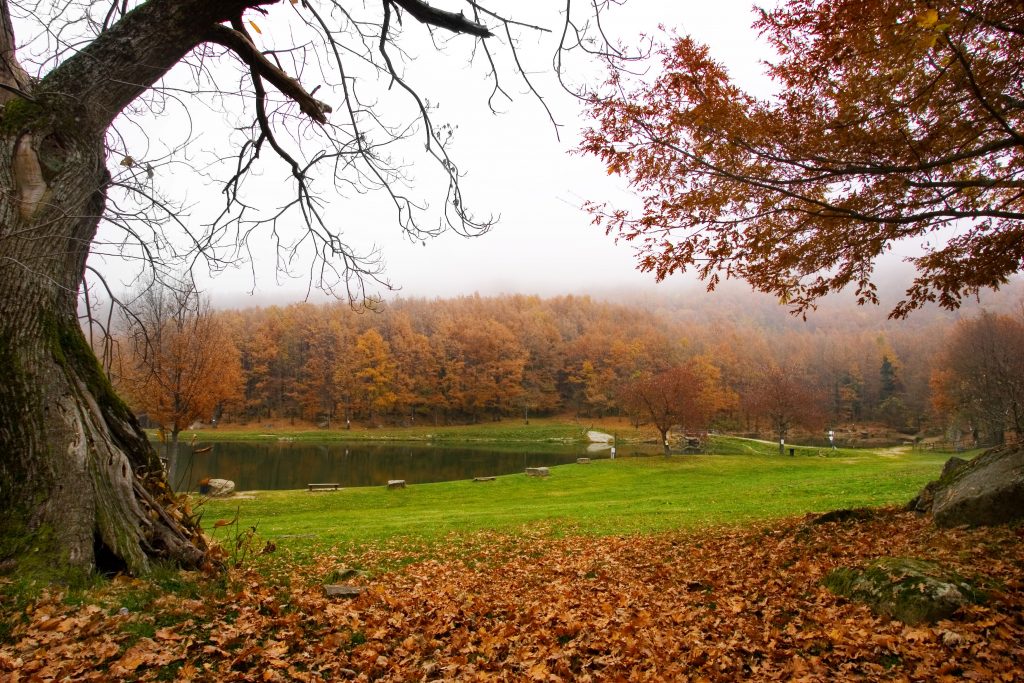 Un’autunnale fuga a Castrocaro: delizie romagnole al Ristorante Il Farro