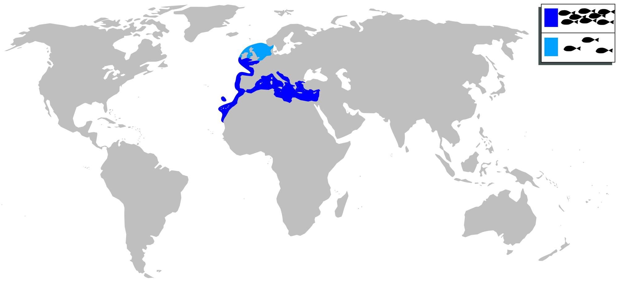 Delizie Marinare a Marina di Ravenna: Quattro Serate di Gusto