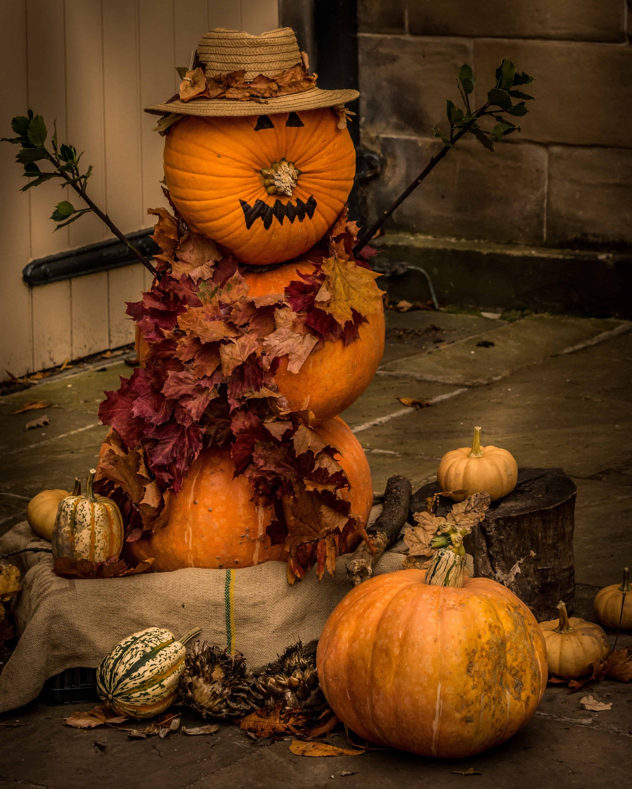 Autunnale Passeggiata a Cervia: Mercato e Tradizioni