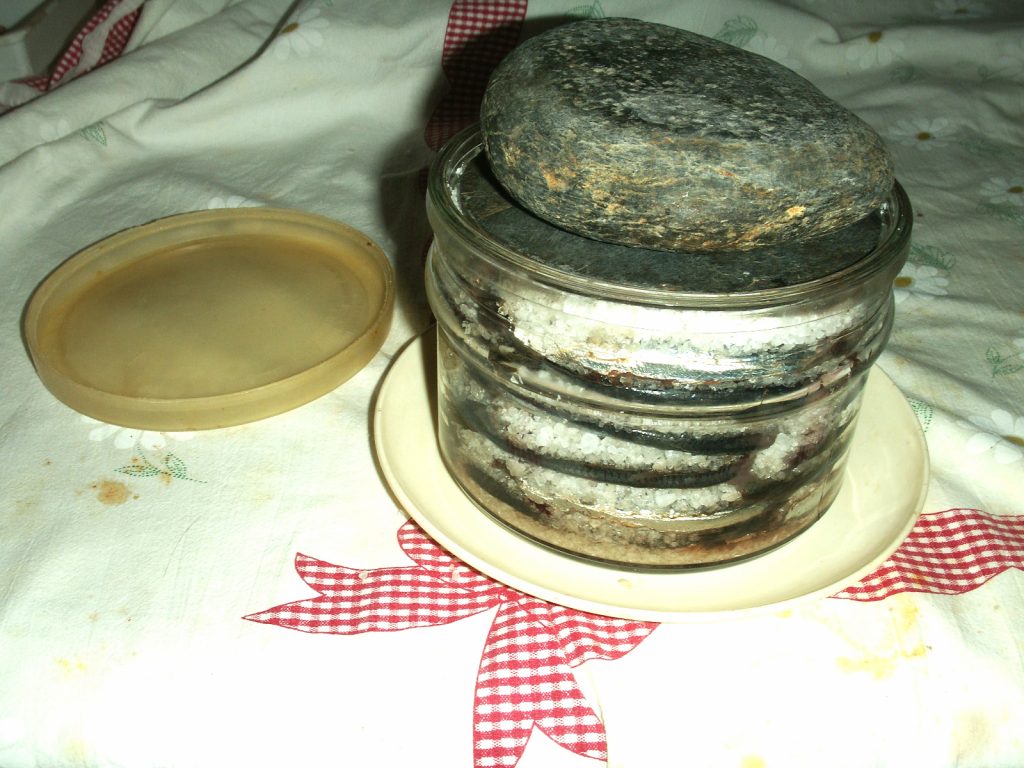 Conservazione casalinga delle alici sotto sale: una guida completa