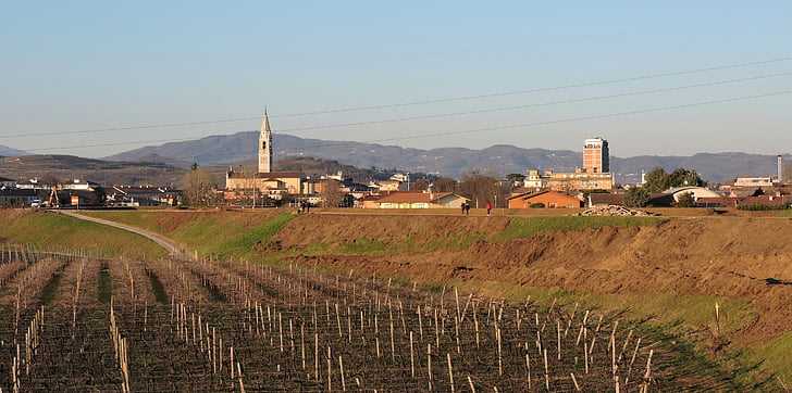 L’Agriturismo Casalbono: Un’Oasi di Sapori Romagnoli vicino a Cesena