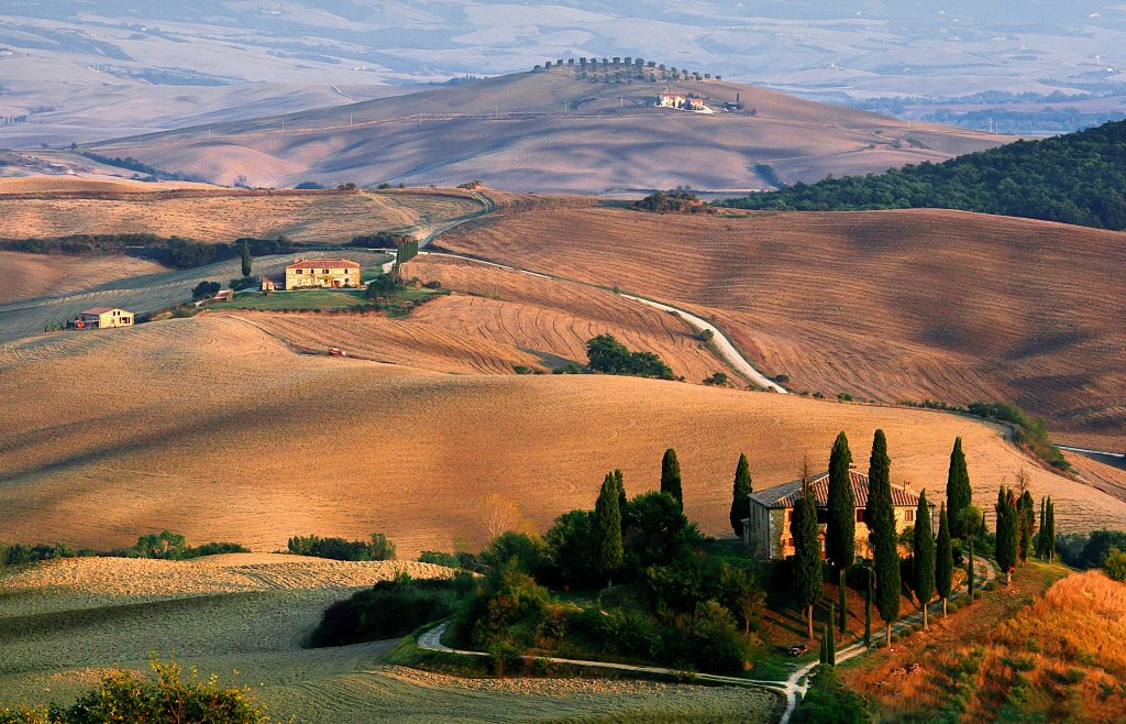 Agriturismo Le Lucciole: Un’oasi di sapori a Bertinoro