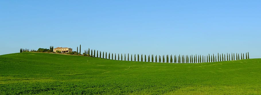 Agriturismo Locanda della Fortuna: Olio, Vino e Cucina Tradizionale a Oriolo dei Fichi