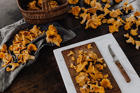 Degustazione Autunnale al Quartopiano di Rimini: Un’Anteprima di Gusto