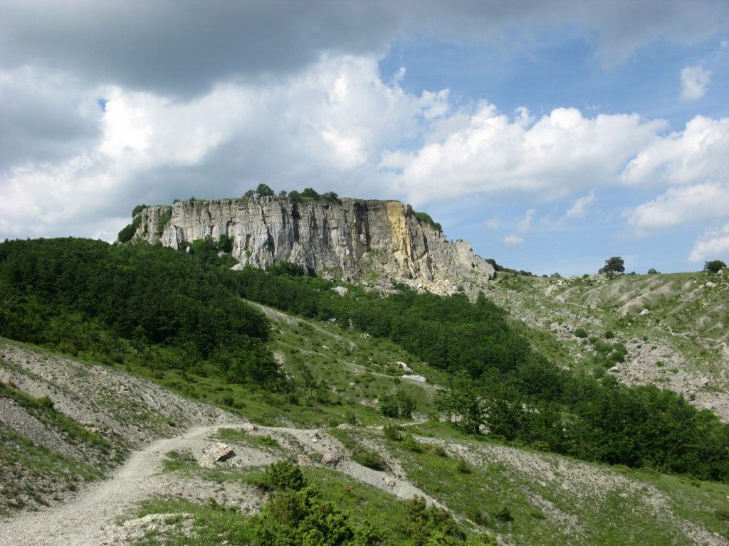 Esplorazione notturna del Parco del Sasso Simone e Simoncello: Microcosmi 2021