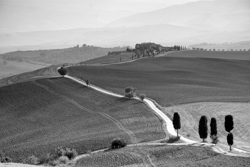 Un’Esperienza Gastronomica nella Storica Dozza Imolese