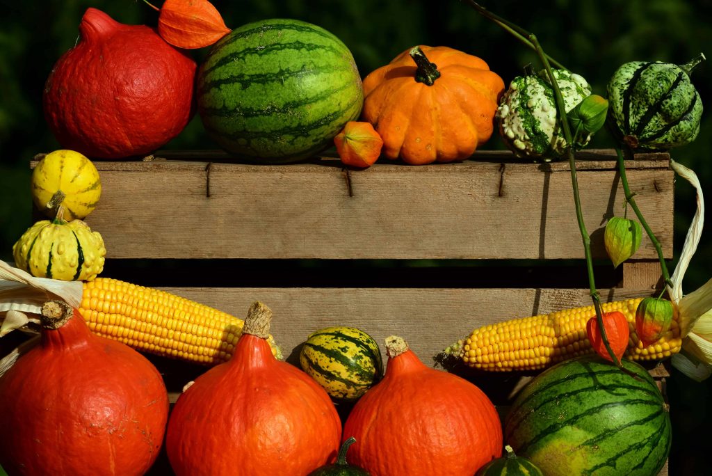 Autunno in Cucina: Cremosa Zuppa di Zucca e Porri