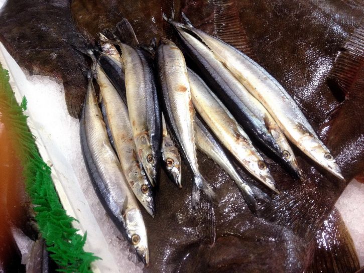 Il Ristorante del Pescatore: Un’Oasi di Sapori Marinari vicino a Cesena