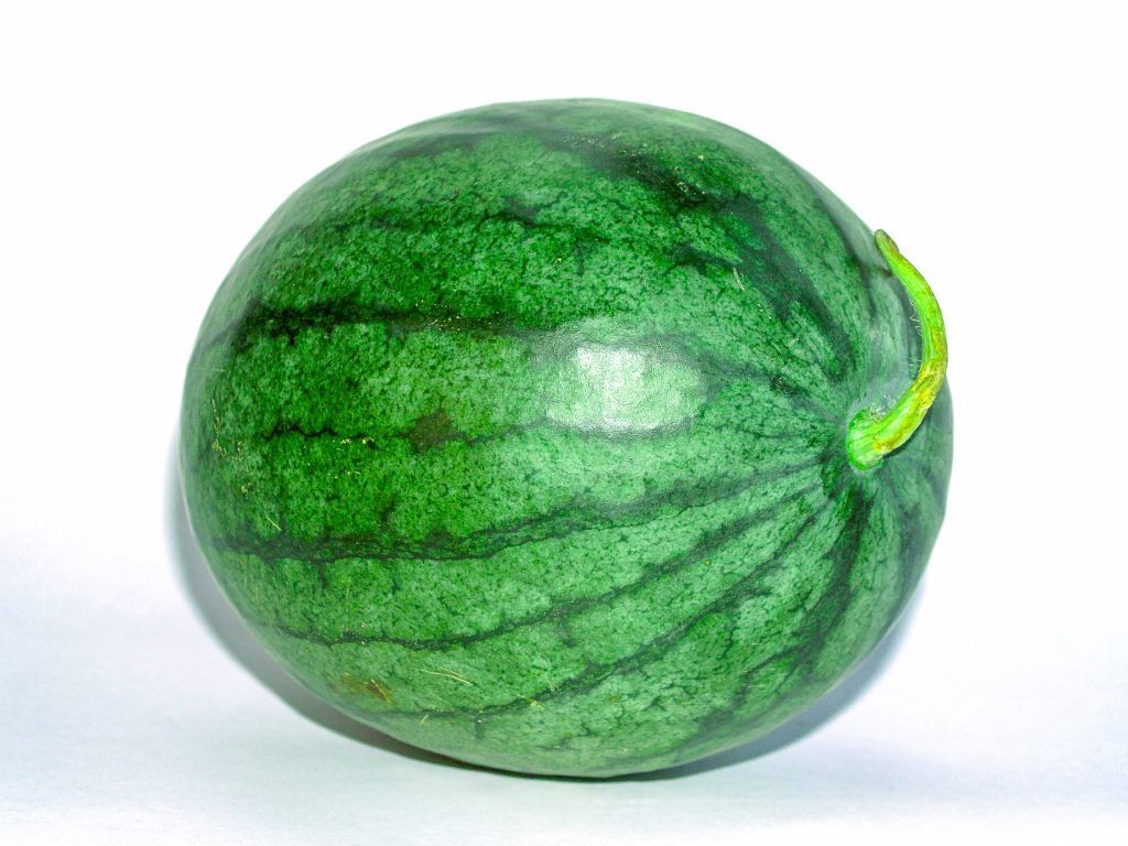Scegliere il Melone Perfetto: Guida alla Maturazione