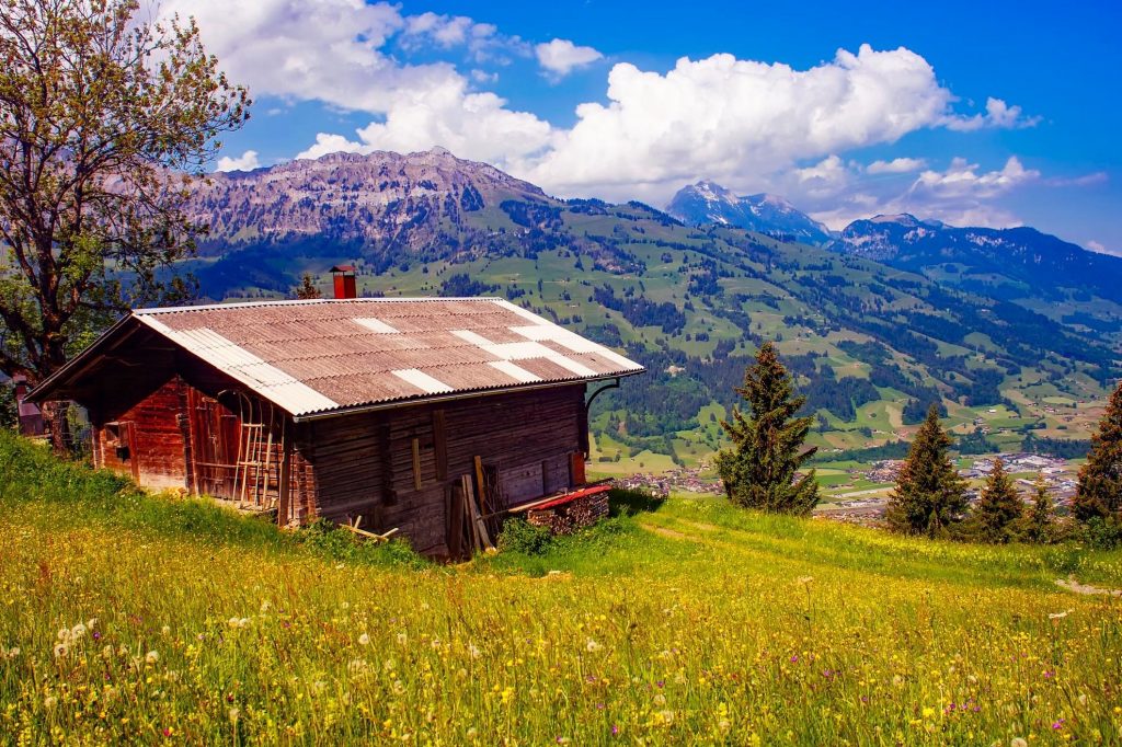 Corte San Ruffillo: Un’oasi di agricoltura biologica e relax nella campagna romagnola