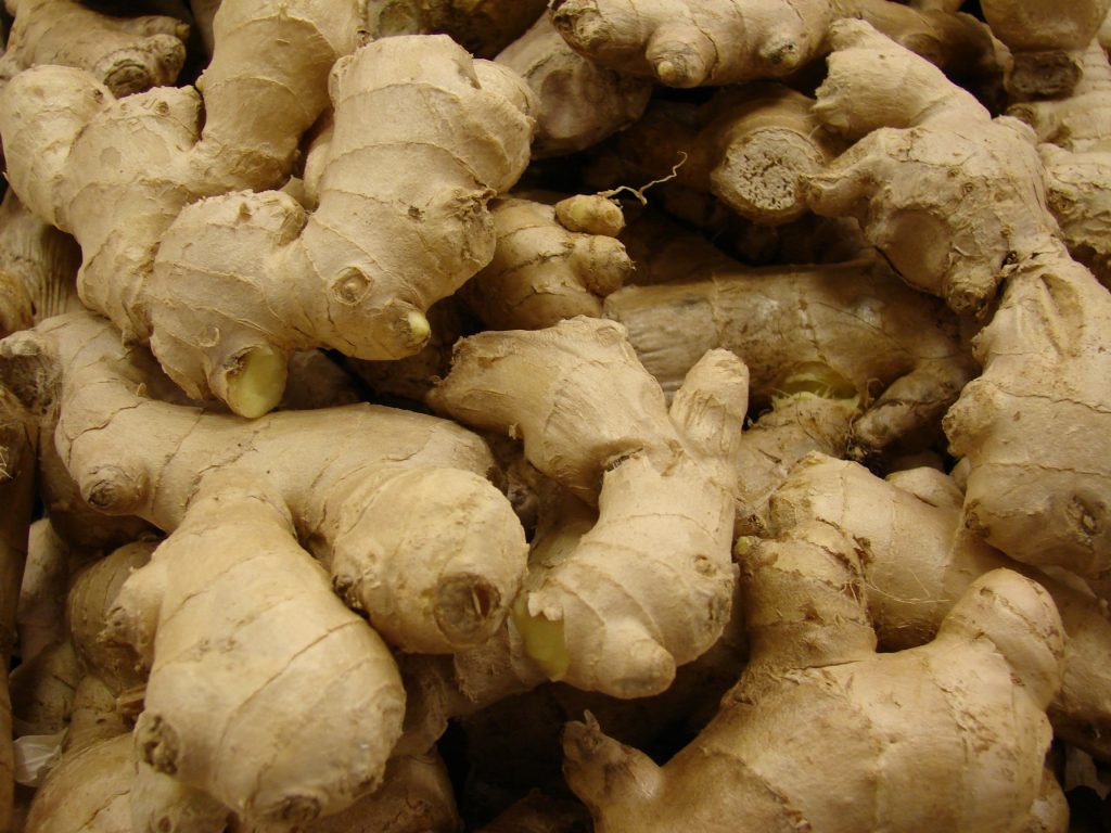 Le virtù terapeutiche di curcuma e zenzero