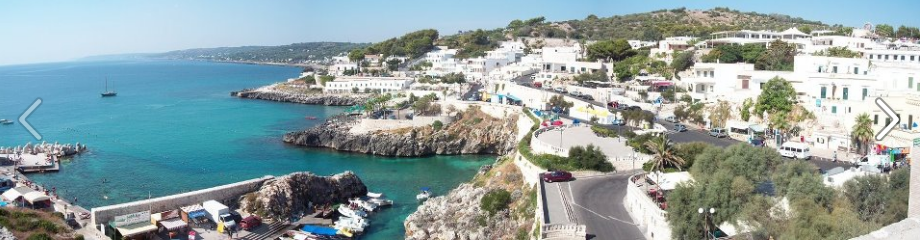 Riapre la pesca nell’Alto Adriatico: un mare che si rigenera