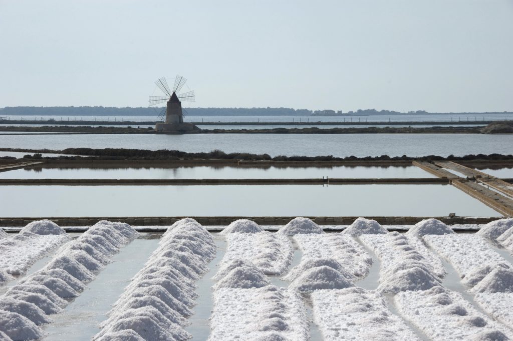 Diventa Salinaro per un Giorno: Esperienza Immersiva alla Salina Camillone di Cervia