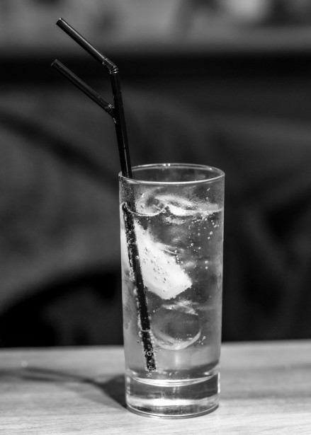 Esperienza di Gin Giapponese a Casa Spadoni, Ravenna