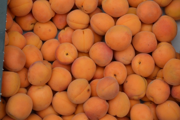 Albicocche romagnole: un tesoro estivo di gusto e benessere