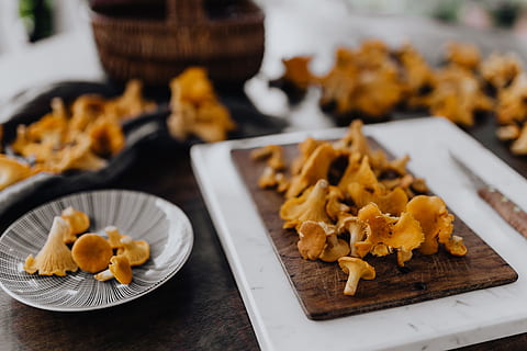Deliziosi Fiori di Zucca al Forno: Ricetta estiva