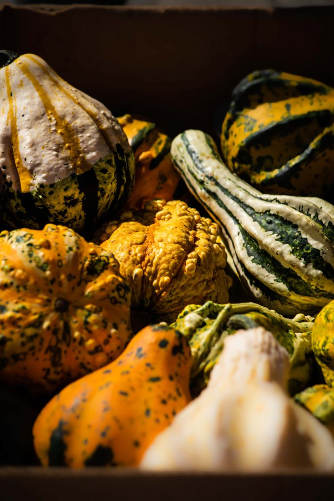 Bagnacavallo: Un weekend di sapori autunnali
