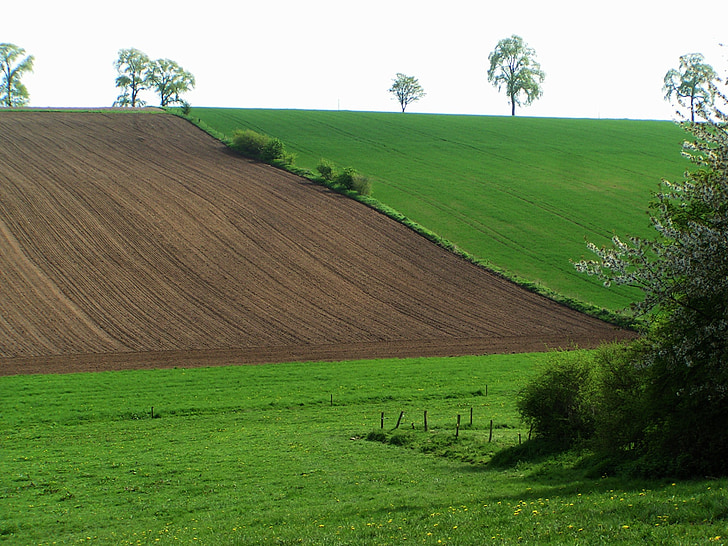 Esplorando i Calanchi: Un Viaggio Culturale nella Romagna