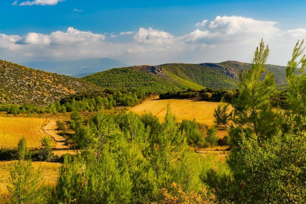 Festival Habitat: Appennino in Festa