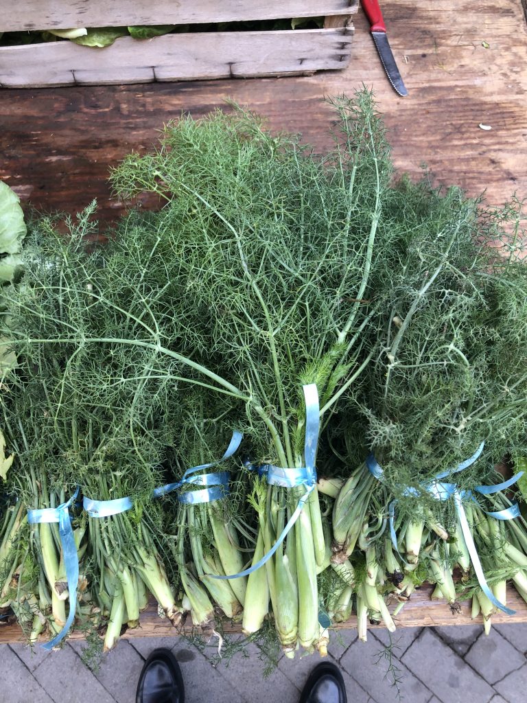 Un Viaggio Gastronomico Globale: Bellaria Igea Marina ospita il Festival del Cibo di Strada