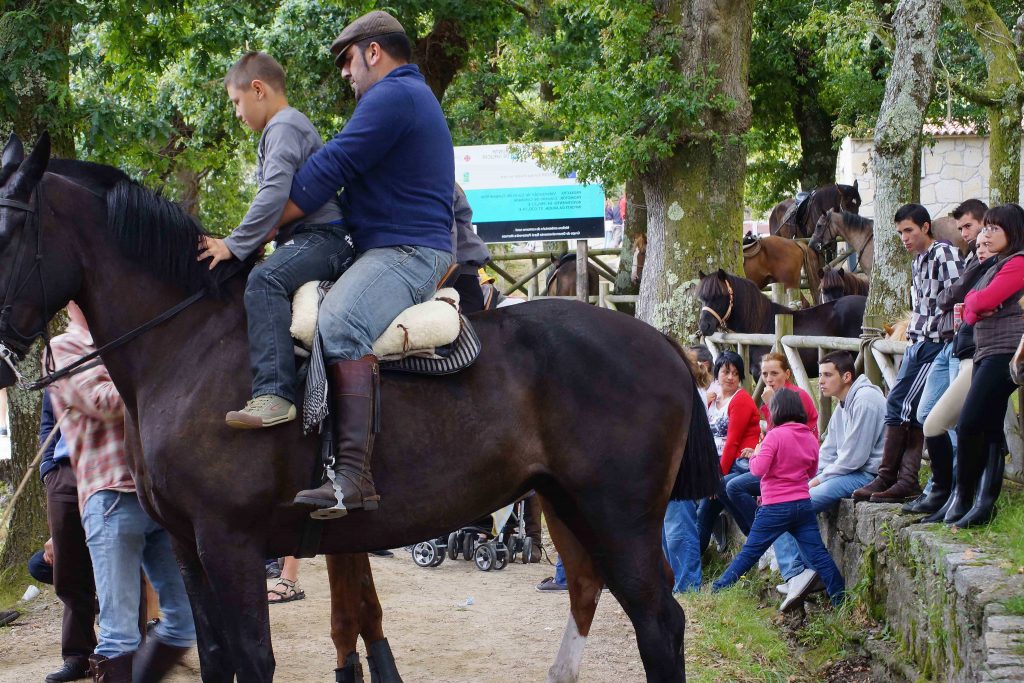 Esperienze Estive nella Valle del Savio: Un Calendario Ricco di Eventi