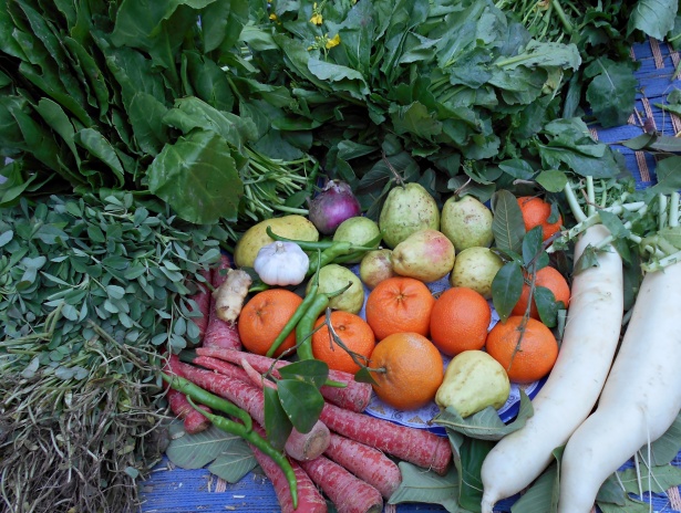 Ogni giorno è buono per frutta e verdura: ecco FRUIT24