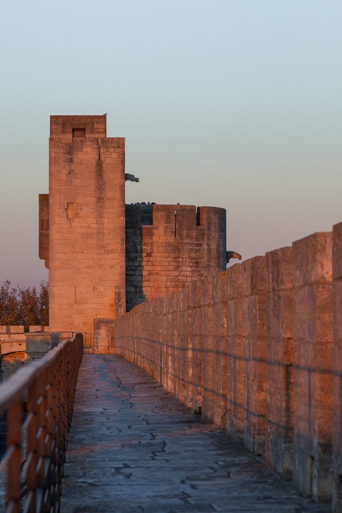 Esplora la Salina Camillone: un viaggio nella storia del sale di Cervia
