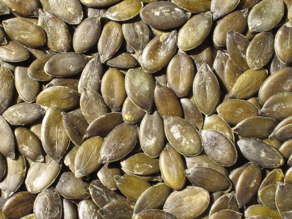 I semi di Chia: un tesoro di benessere