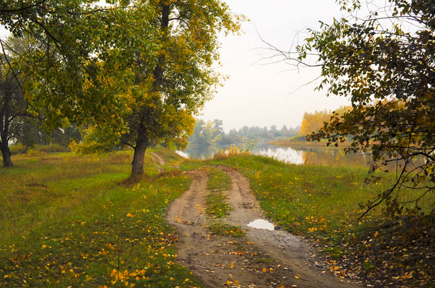 Autunno Slow 2024: Un’esperienza Immersiva nel Parco delle Foreste Casentinesi